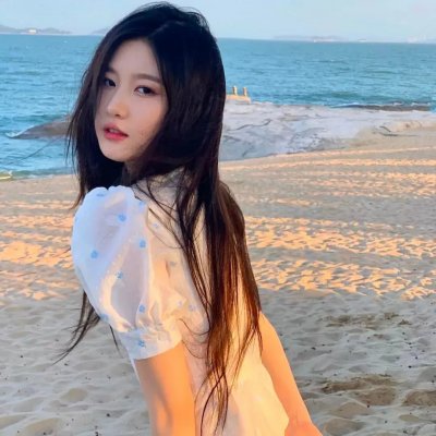 企鹅之岛：福克兰